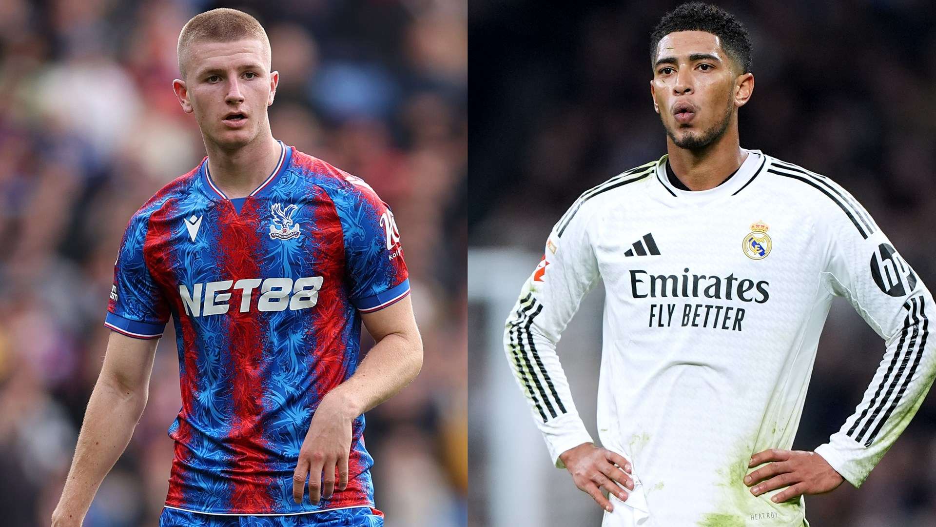 享提供了更 享提供了更